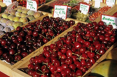 Viktualienmarkt: Obststand - München