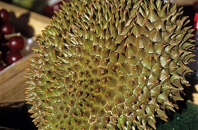 Viktualienmarkt: Durian - München