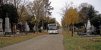 Wiener Zentralfriedhof - Wien