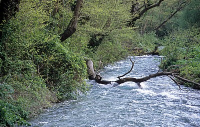 Syri i Kaltër (Blaues Auge) - Mali i Gjerë