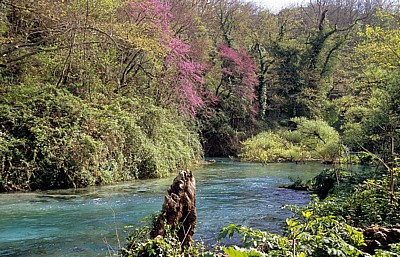 Syri i Kaltër (Blaues Auge) - Mali i Gjerë