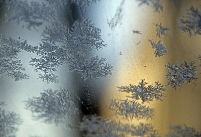 Eisblumen - Osnabrück