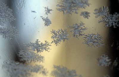 Eisblumen - Osnabrück