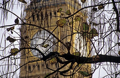 Ast vor The Clock Tower (Uhrturm) - London