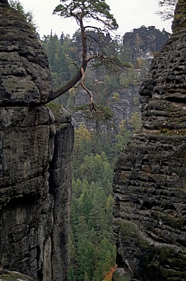 DDR - Sächsische Schweiz