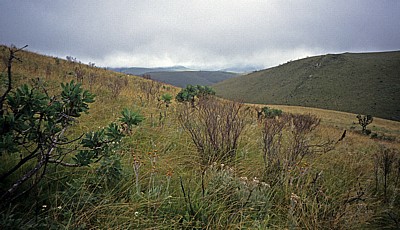 Nyanga Mountains - Nyanga National Park