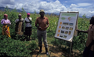 Vortrag über den Agragbereich auf einem Versuchsfeld - Provinz Manica