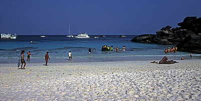 Insel Nummer acht (Ko Paed): Strand - Similan Islands