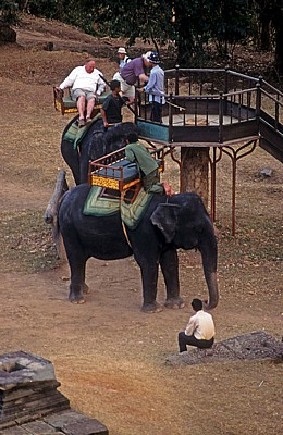Phnom Bakeng: Elefanten nehmen Touristen den Aufstieg ab - Angkor