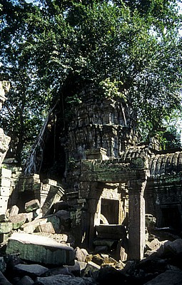 Ta Prohm - Angkor