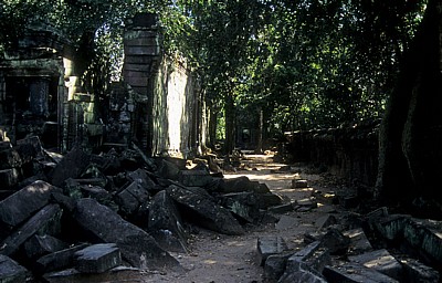 Ta Prohm - Angkor