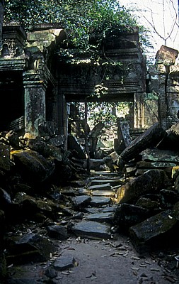 Ta Prohm - Angkor