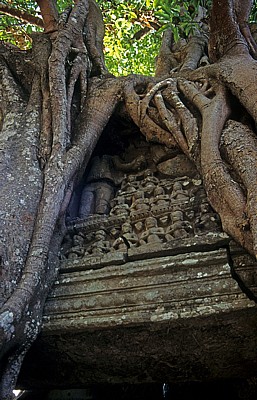 Ta Som: Kapokwurzeln über dem Eingang - Angkor