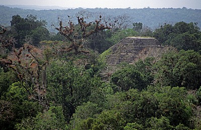 Blick von Tempel IV: Mundo Perdido (Verlorene Welt) - Tikal