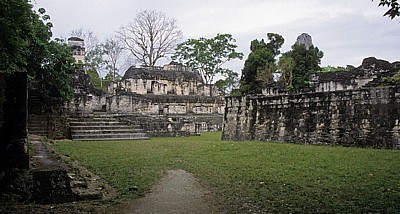 Acropolis Central (Zentrale Akropolis) - Tikal