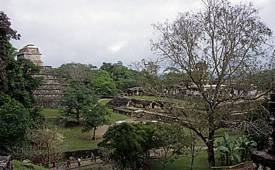 Blick von der Plaza de la Cruz (Kreuzgruppe) - Palenque
