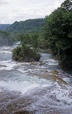 Reserva Biósfera Cascadas Agua Azul: Cascadas - Agua Azul