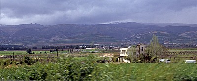 Landwirtschaft (u.a. Wein) - Bekaa-Ebene
