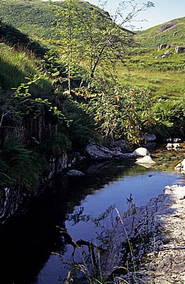 Wasserlauf im schottischen Hochland  - Fort William