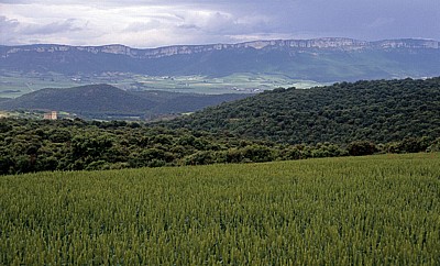 Jakobsweg (Camino Francés): Zwischen Estella und Villamayor de Monjardín - Navarra