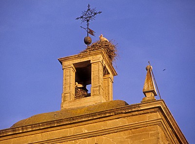 Nistende Störche (Ciconia ciconia) in der Iglesia Imperial de Santa María de Palacio - Logroño