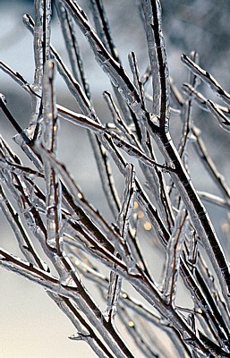 Rubbenbruchsee: Eisregen - Osnabrück