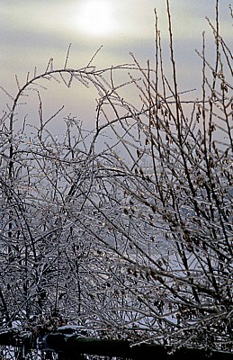 Rubbenbruchsee: Eisregen - Osnabrück