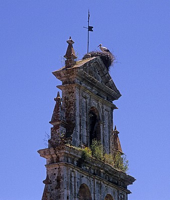 Iglesia de Agés: Weißstorch (Ciconia ciconia) auf dem Kirchturm - Agés