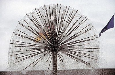 Keukenhof: Wasserspiel - Lisse