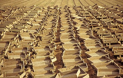 Leere Blumenzwiebelkisten auf einem Feld - Lisse
