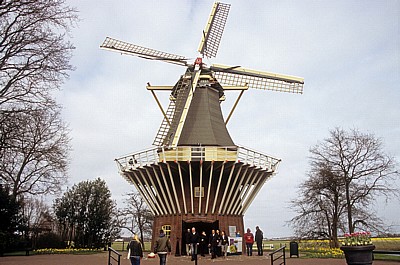 Keukenhof: Groninger Windmühle - Lisse