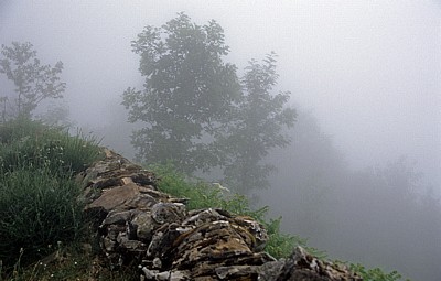 Jakobsweg (Camino Francés): Landschaft im frühen Nebel - Galicia