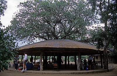 Picknickplatz - Kruger National Park