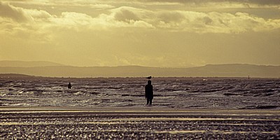 Kunstinstallation: Another Place (Antony Gormley) - Figur mit Möwe auf dem Kopf - Crosby