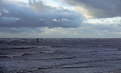 Kunstinstallation: Another Place (Antony Gormley) - Vogelschwarm über einer Figur - Crosby