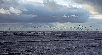 Kunstinstallation: Another Place (Antony Gormley) - Vogelschwarm über einer Figur - Crosby