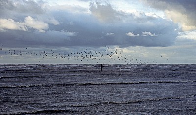 Kunstinstallation: Another Place (Antony Gormley) - Vogelschwarm über einer Figur - Crosby
