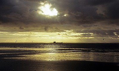 Kunstinstallation: Another Place (Antony Gormley) - Seevögel am Crosby Beach  - Crosby