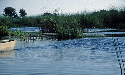 Wasserführender Kanal im Delta - Okavango-Delta