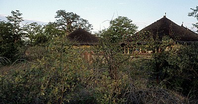 Planet Baobab: Rondavel - Gweta