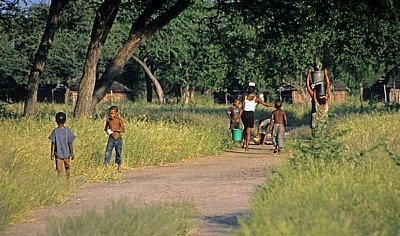 Ombili: Kinder auf dem Weg zum Dorf - Oshikoto