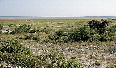 Blick auf die Etoshapfanne - Etosha Nationalpark