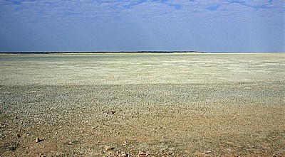 Etoshapfanne - Etosha Nationalpark
