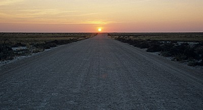 Sonnenuntergang über dem Grasveld - Etosha Nationalpark