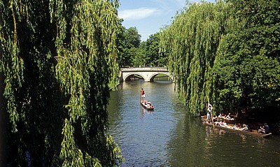 River Cam: Punting (Stechkahn fahren) - Cambridge