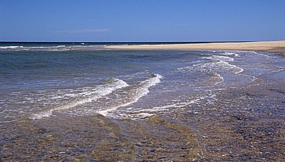 Blakeney National Nature Reserve: Blakeney Point - Strand - Norfolk