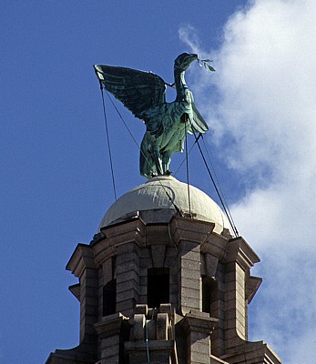 Royal Liver Building: Liver Bird - Liverpool