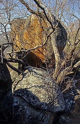 Whovi Wild Area: Felsformation - Matopos National Park