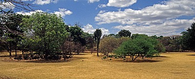 National Botanic Garden: Vegetation - Harare
