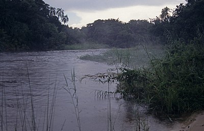 Jungle Junction: Zambezi im Morgennebel - Bovu Island